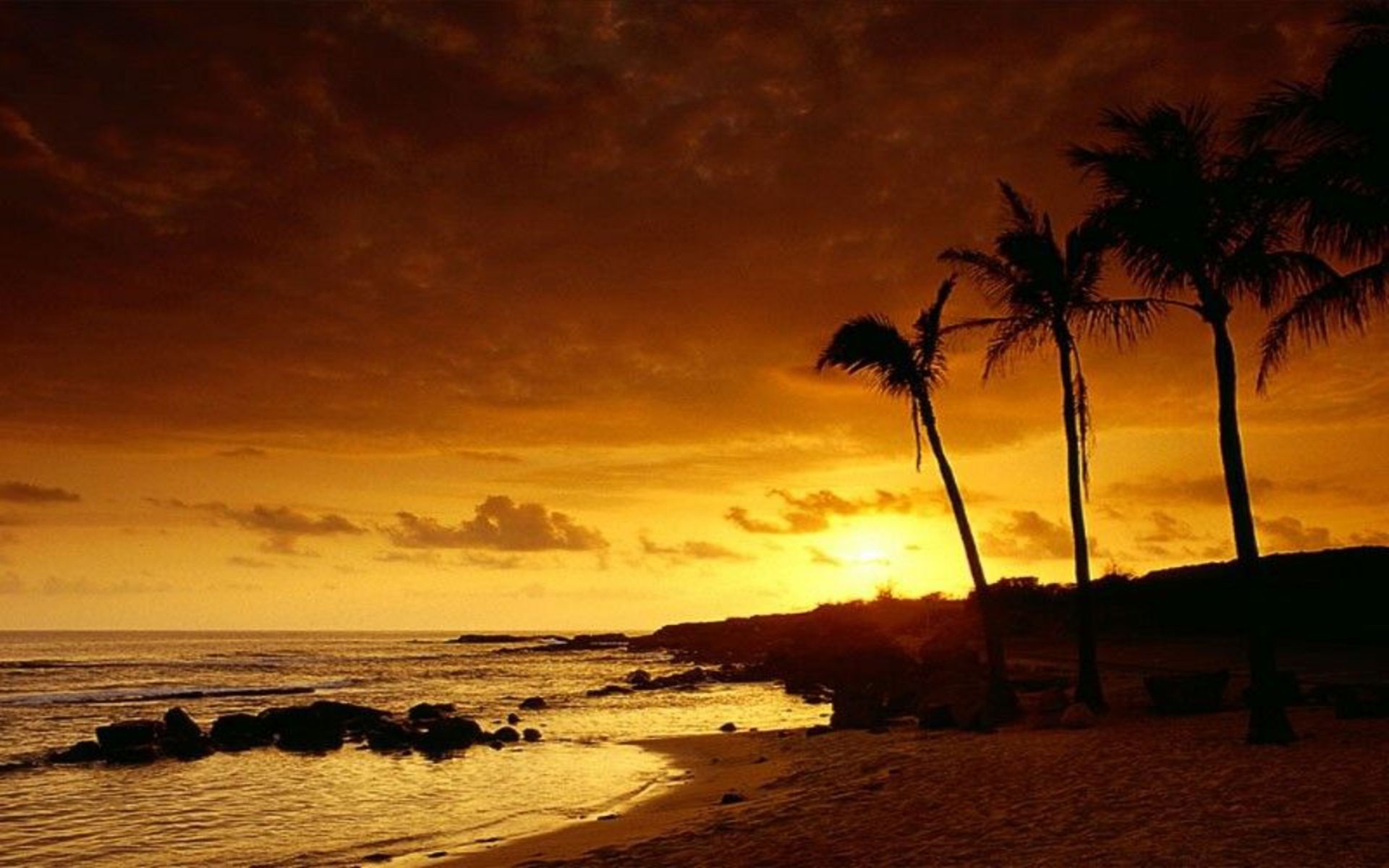 Gallery for - tropical sunset wallpaper widescreen