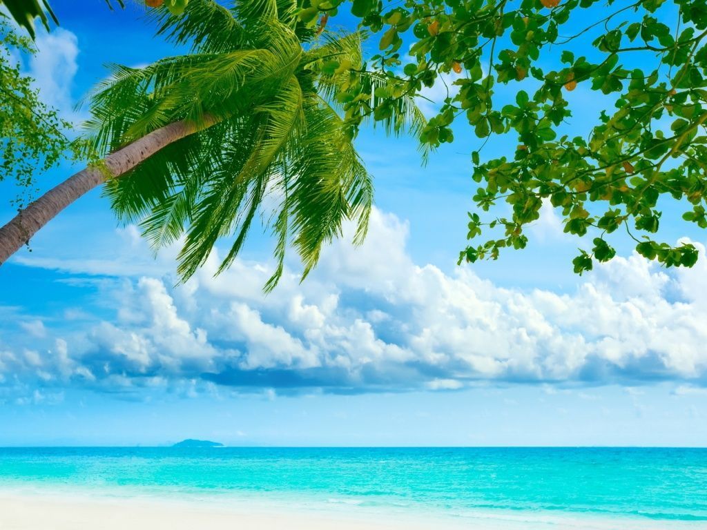 Tropical Beach Resorts HD desktop wallpaper : Widescreen : High ...
