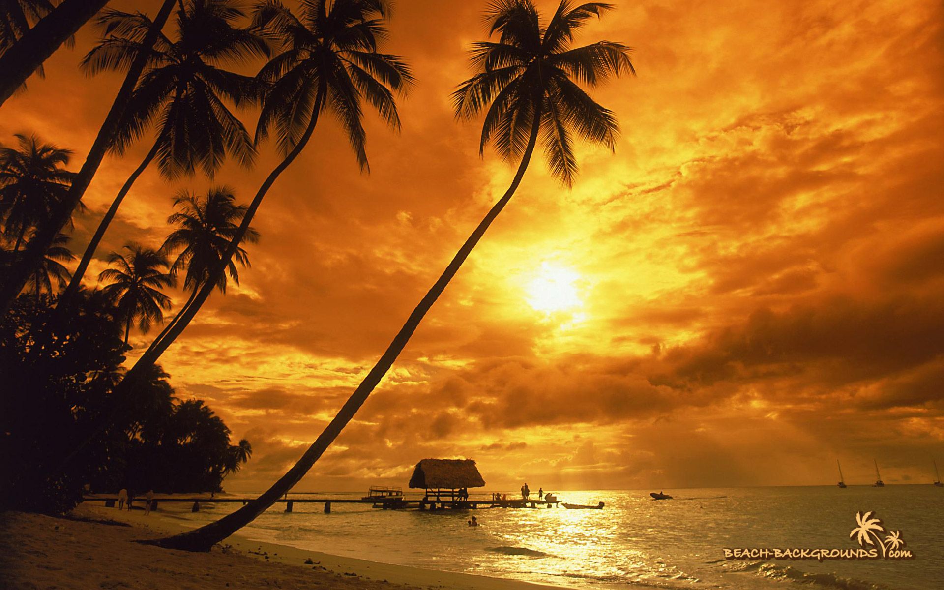 Gallery for - tropical sunset wallpaper widescreen