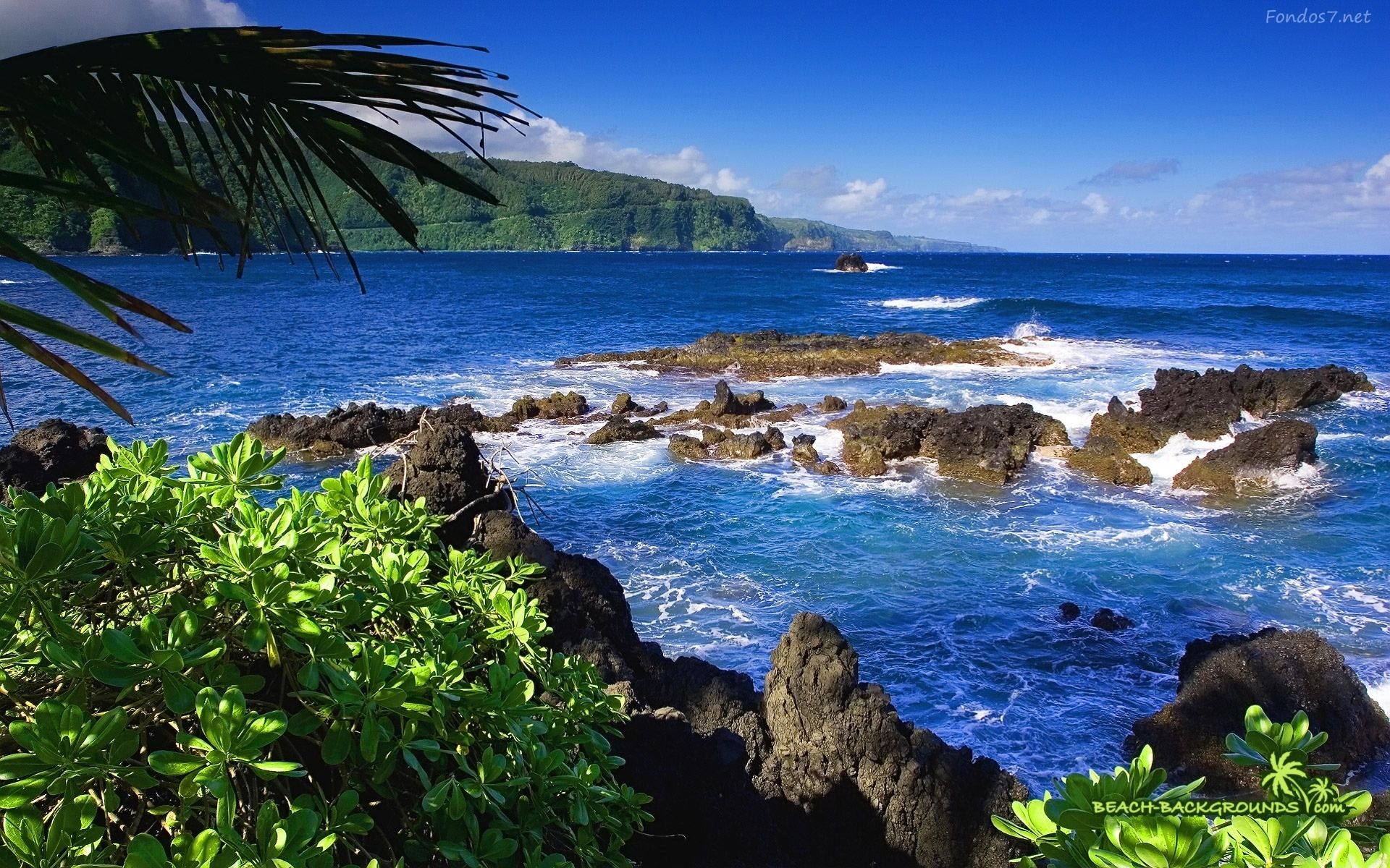 Polynesia, wallpaper, french, sleepaway, tropical, nature ...