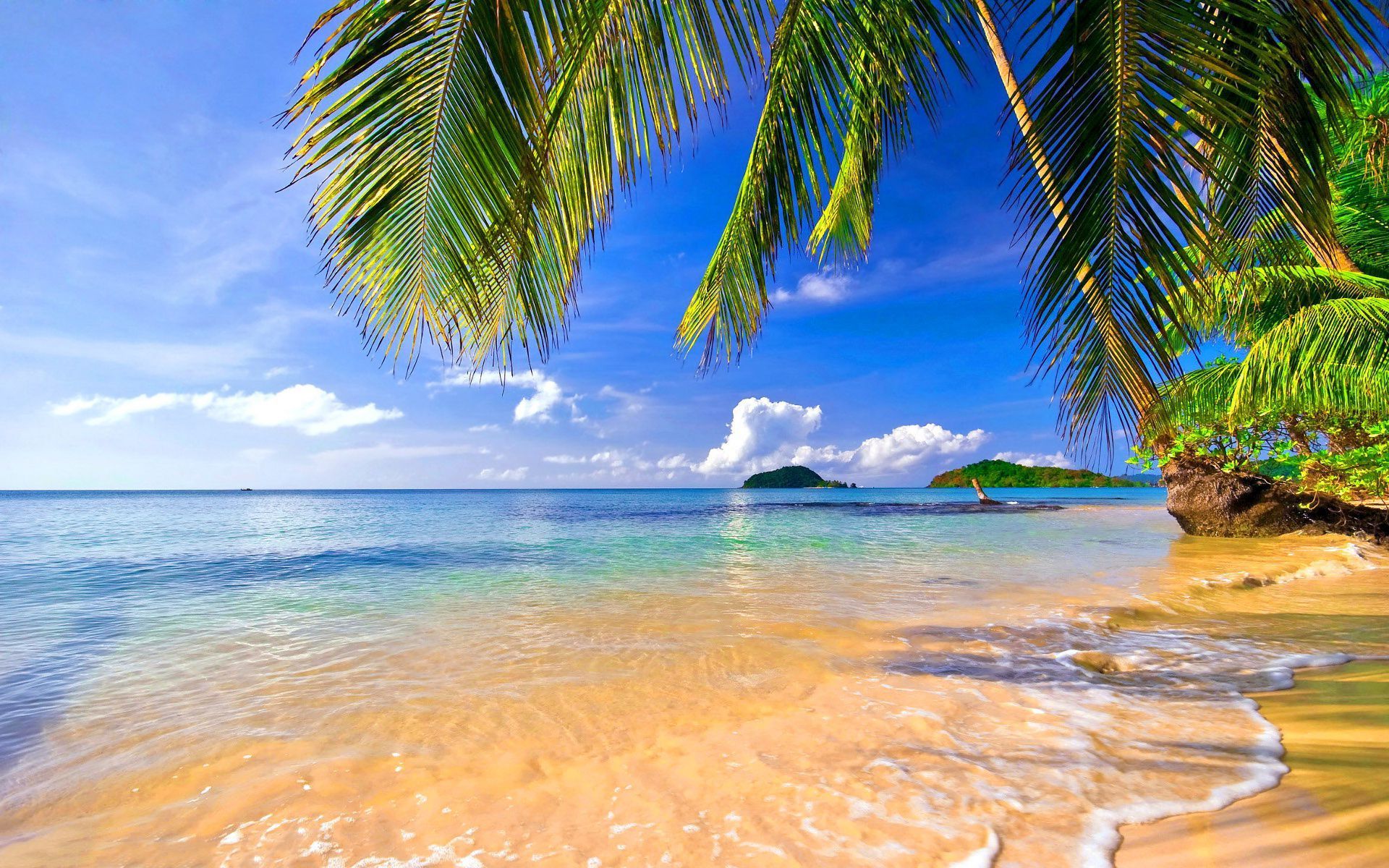 Tropical Wallpapers | Tropical Pictures