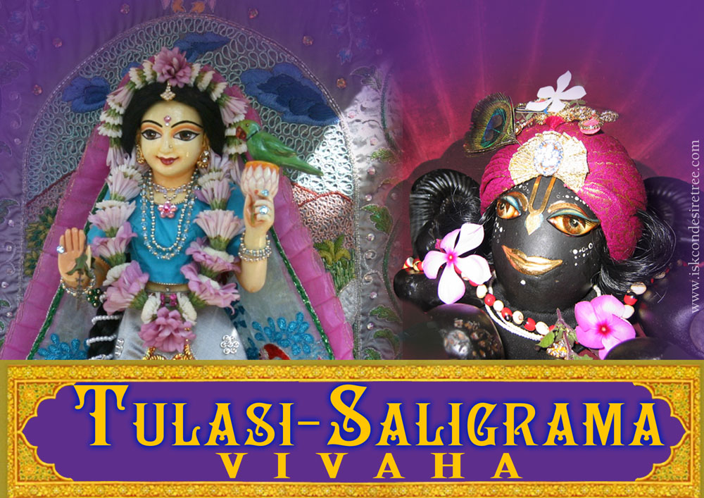 Tulasi-Saligrama Vivaha (marriage) - ISKCON Desire Tree - Devotee ...