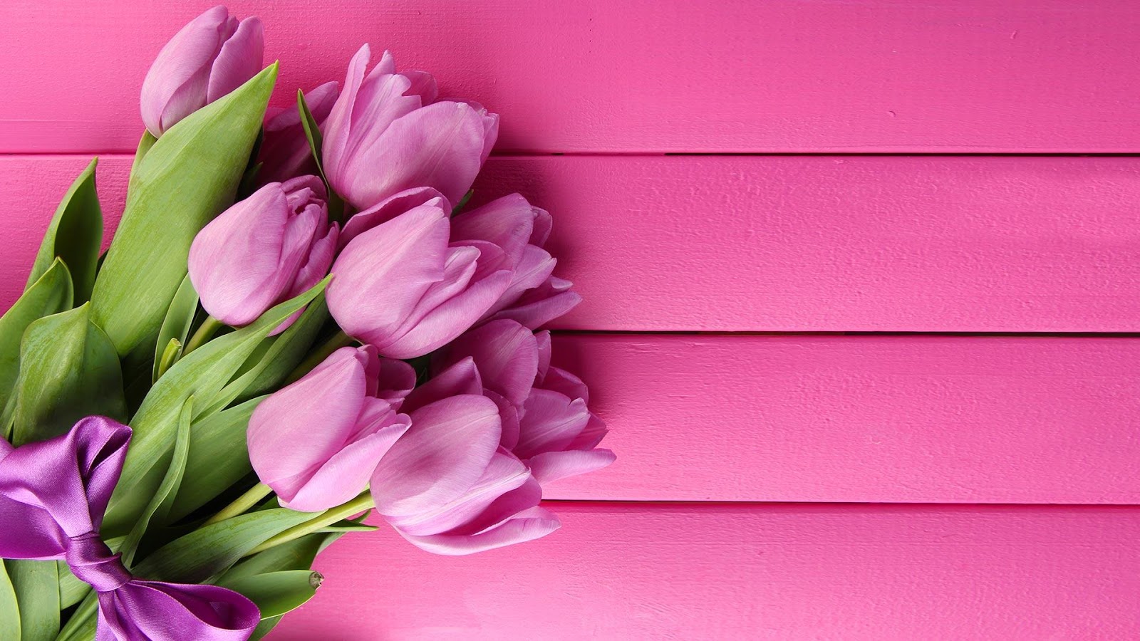 Pink Tulips Live Wallpaper - Android Apps on Google Play