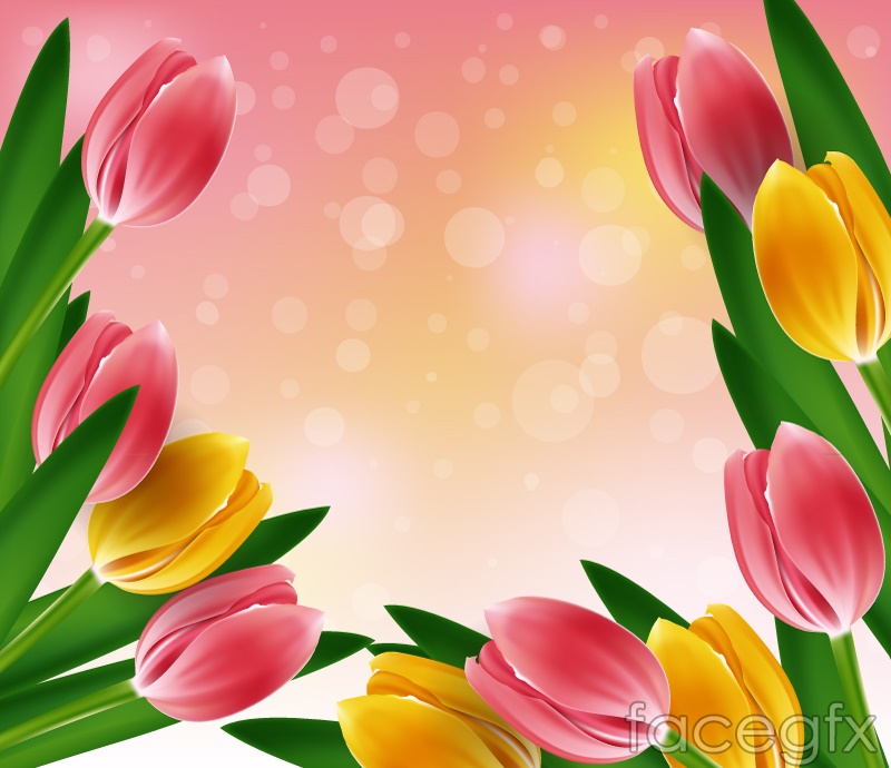 2560x1080px  free download  HD wallpaper flowers tulips pink fresh  wood spring  Wallpaper Flare