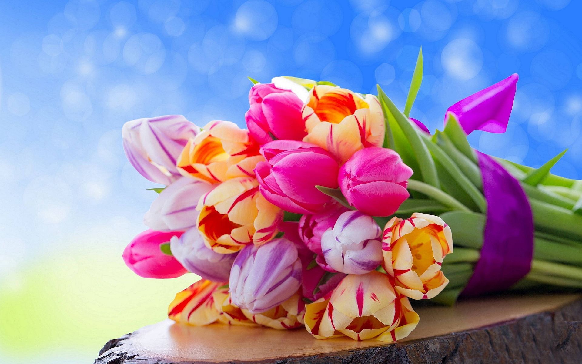 Colorful Tulips HD Wallpapers | Sky HD Wallpaper