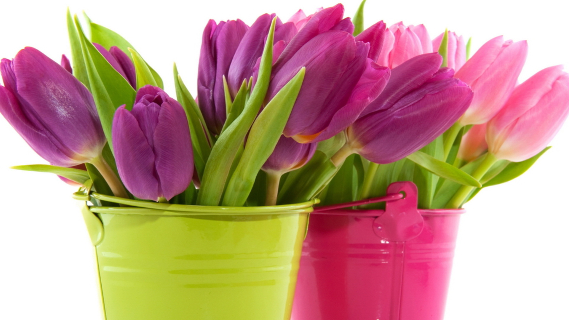 Decoration Tulips Flowers Wallpaper Android Image Desktop Picture