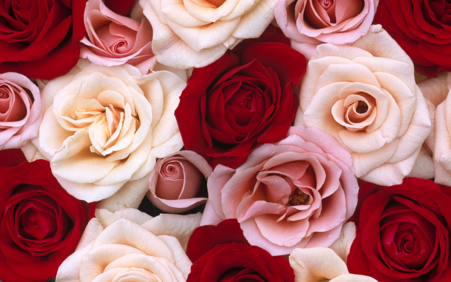 Rose Bouquets Tumblr | Bouquet Idea