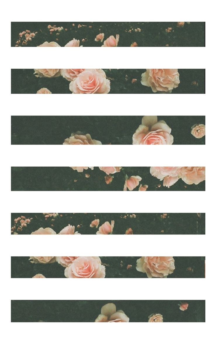 Images For > Iphone 5 Floral Wallpaper Tumblr ...