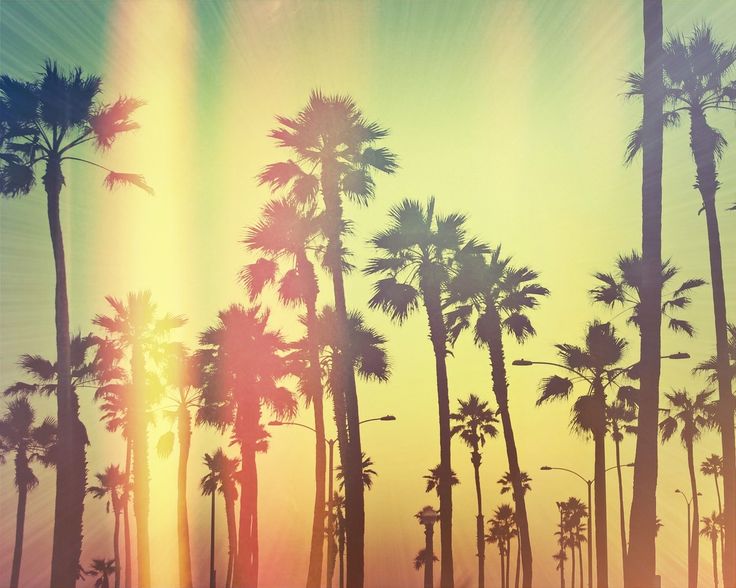 Summer tumblr wallpaper on Pinterest Palm Trees, Tumblr and Sunsets