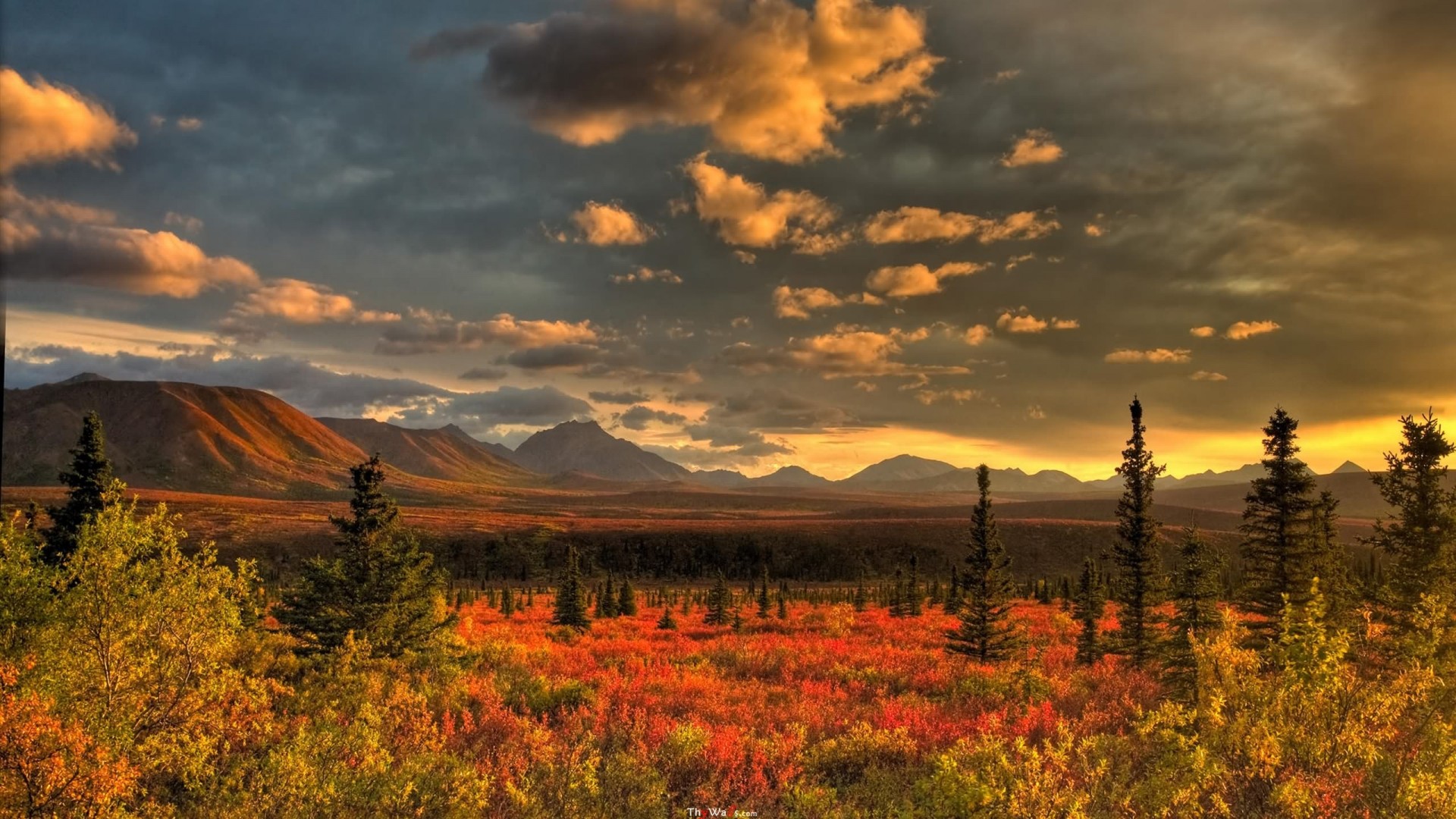 Wallpapers Laura Dore Late Evening Light Bathes The Alaskan Tundra