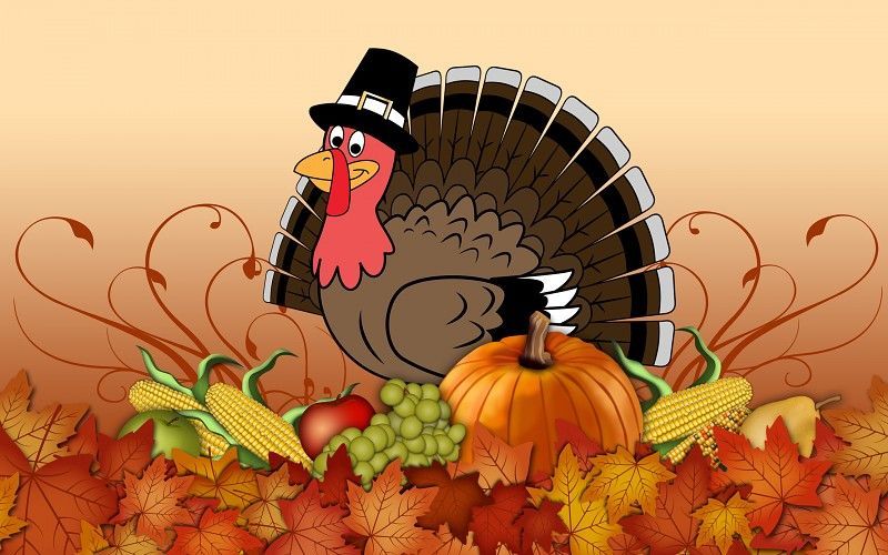 Happy Thanksgiving Turkey wallpaper free desktop backgrounds and other