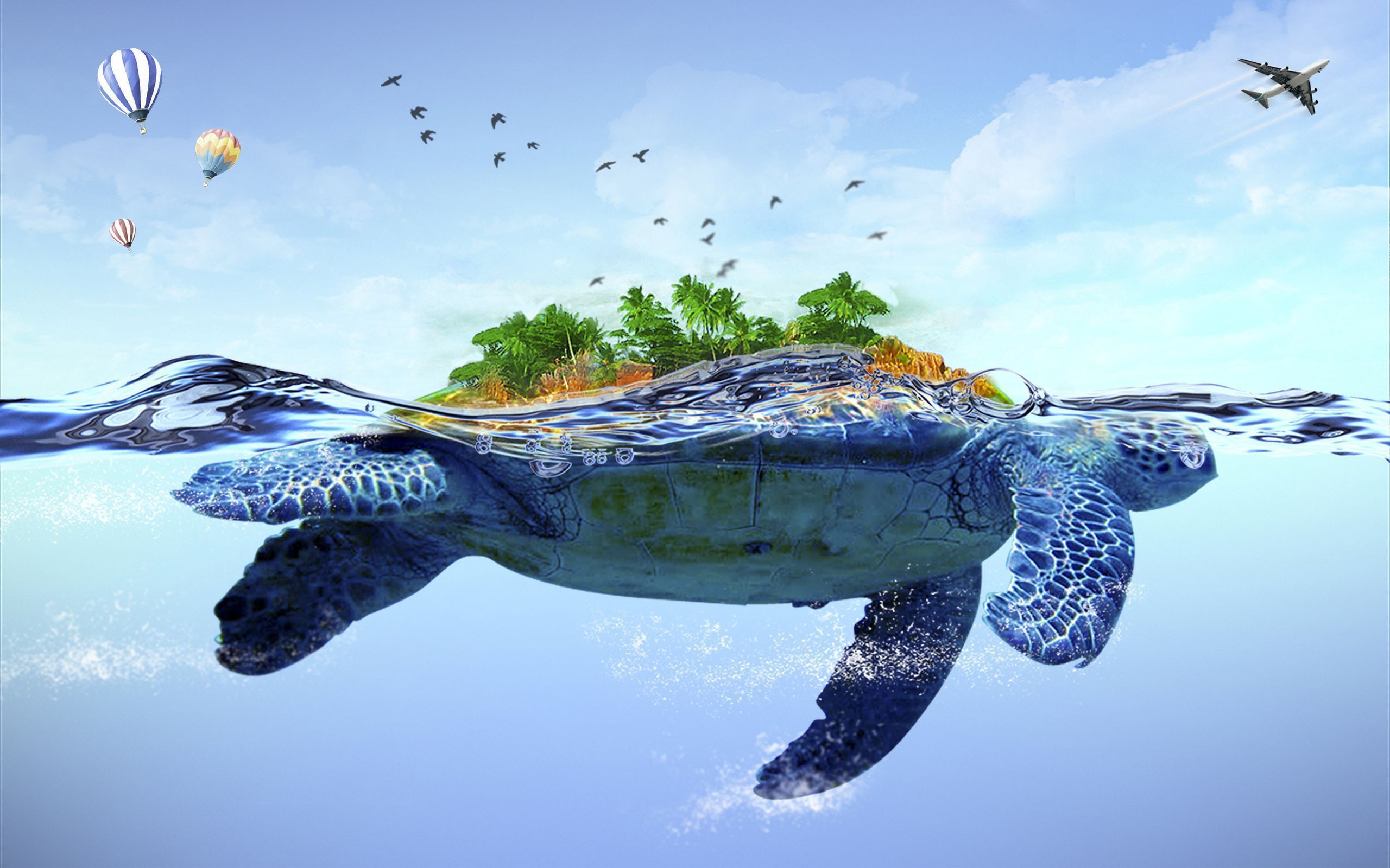 Turtle Wallpapers HD | Full HD Pictures