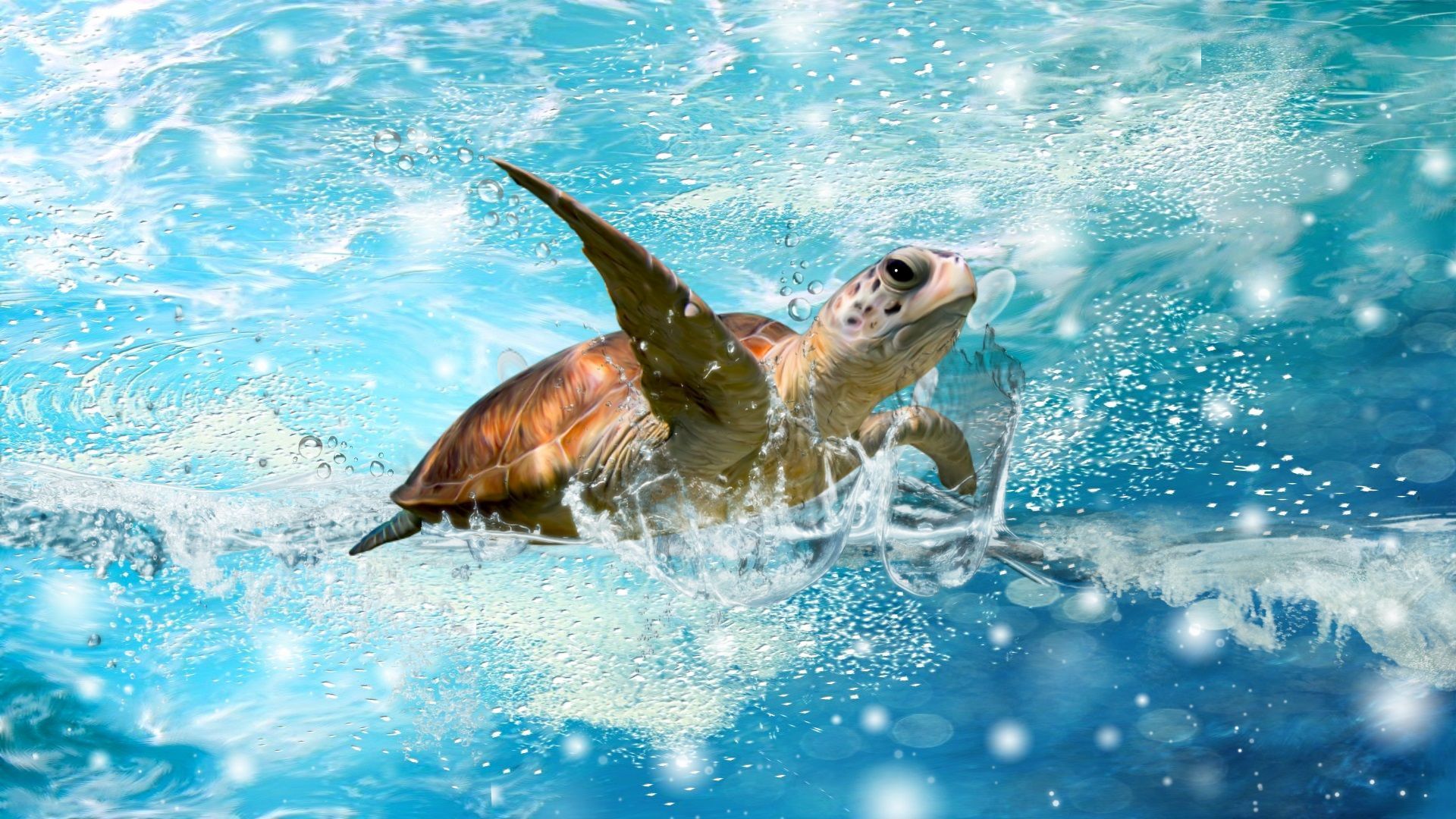 6 Sea Turtle HD Wallpapers | Backgrounds - Wallpaper Abyss