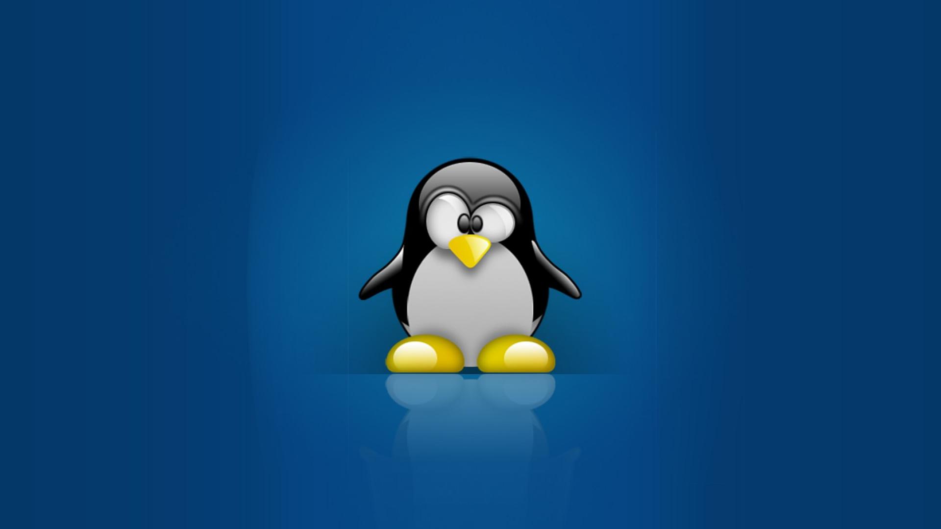 Linux tux penguins computer hd wallpaper - - HQ Desktop