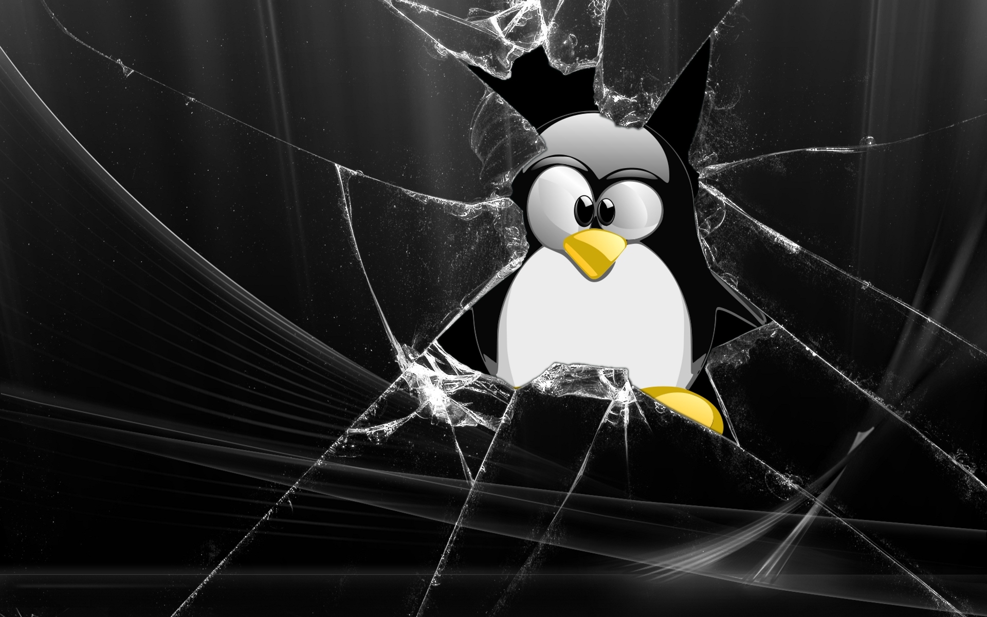 Glass linux tux penguins lunix #Q Pi
