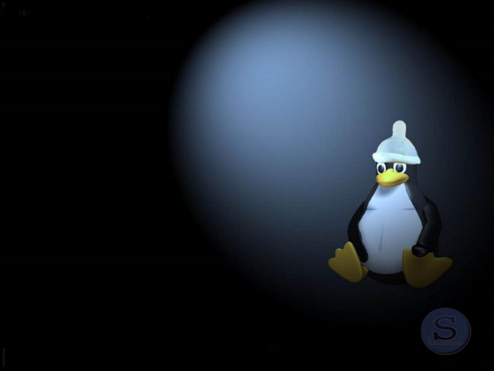 Tux Penguin Linux Slackware Wallpaper The New Background For Slack ...