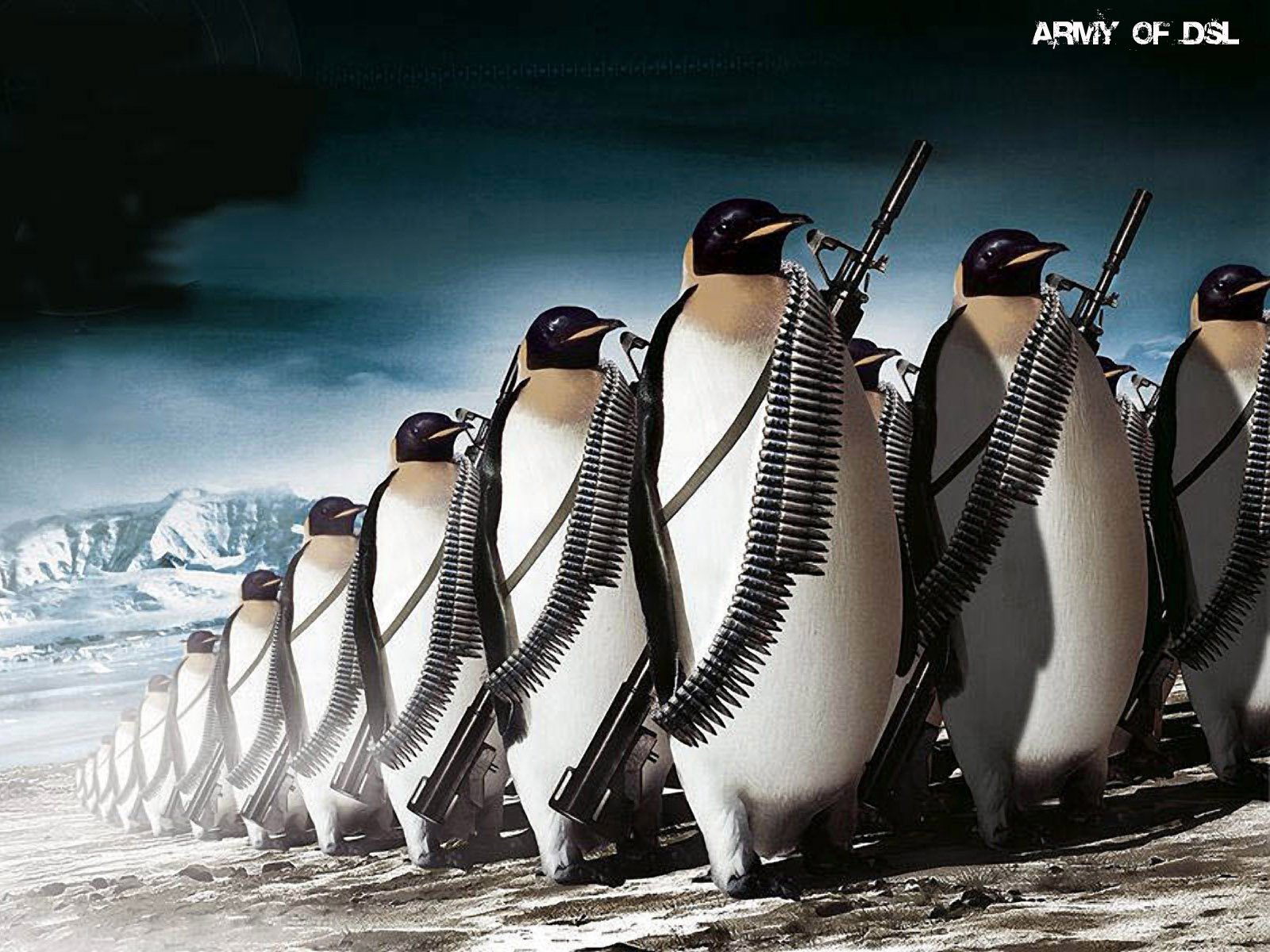Animals Linux tux penguins wallpaper | 1600x1200 | 313582 ...