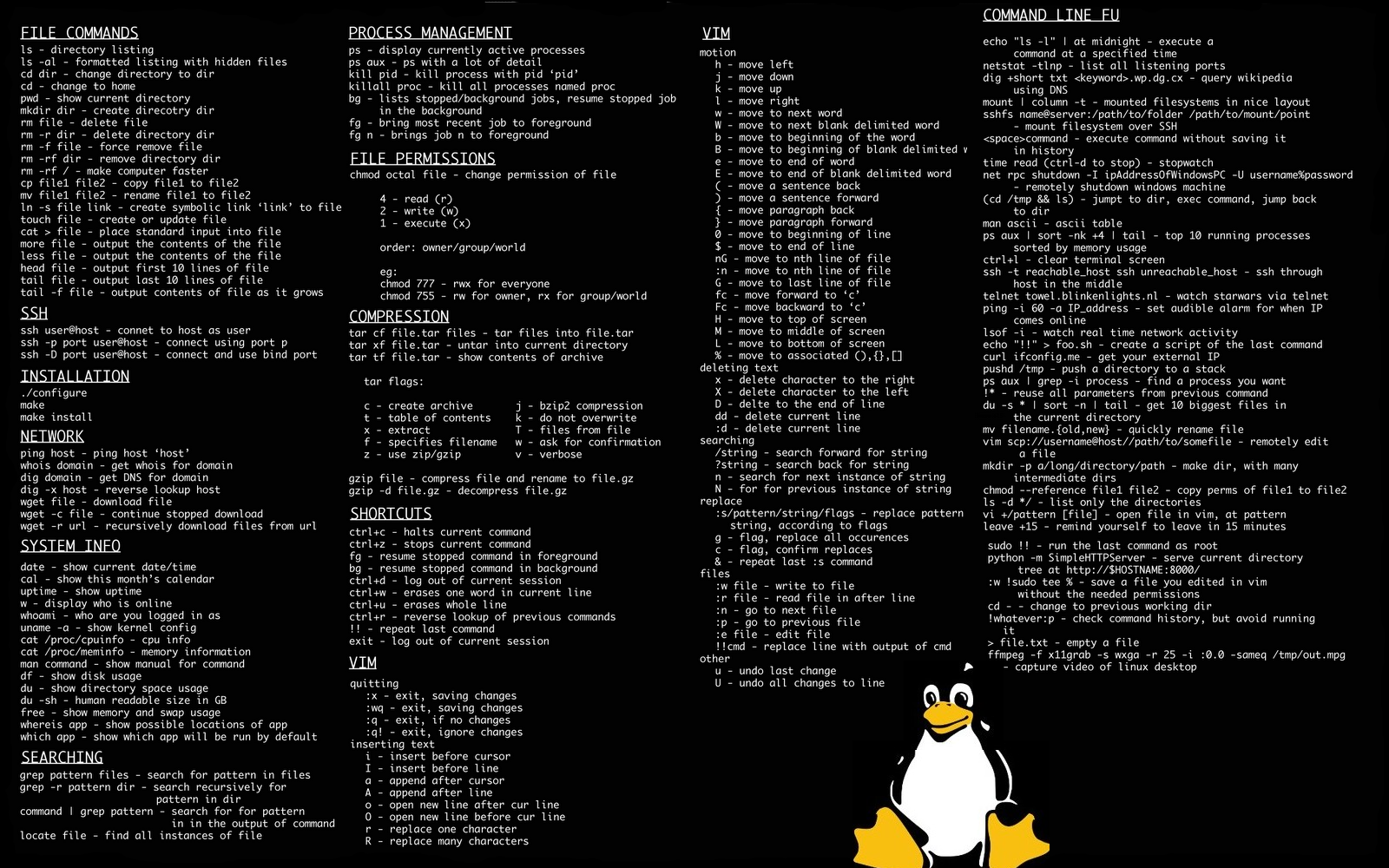 Linux tux console infographics command #oyk1