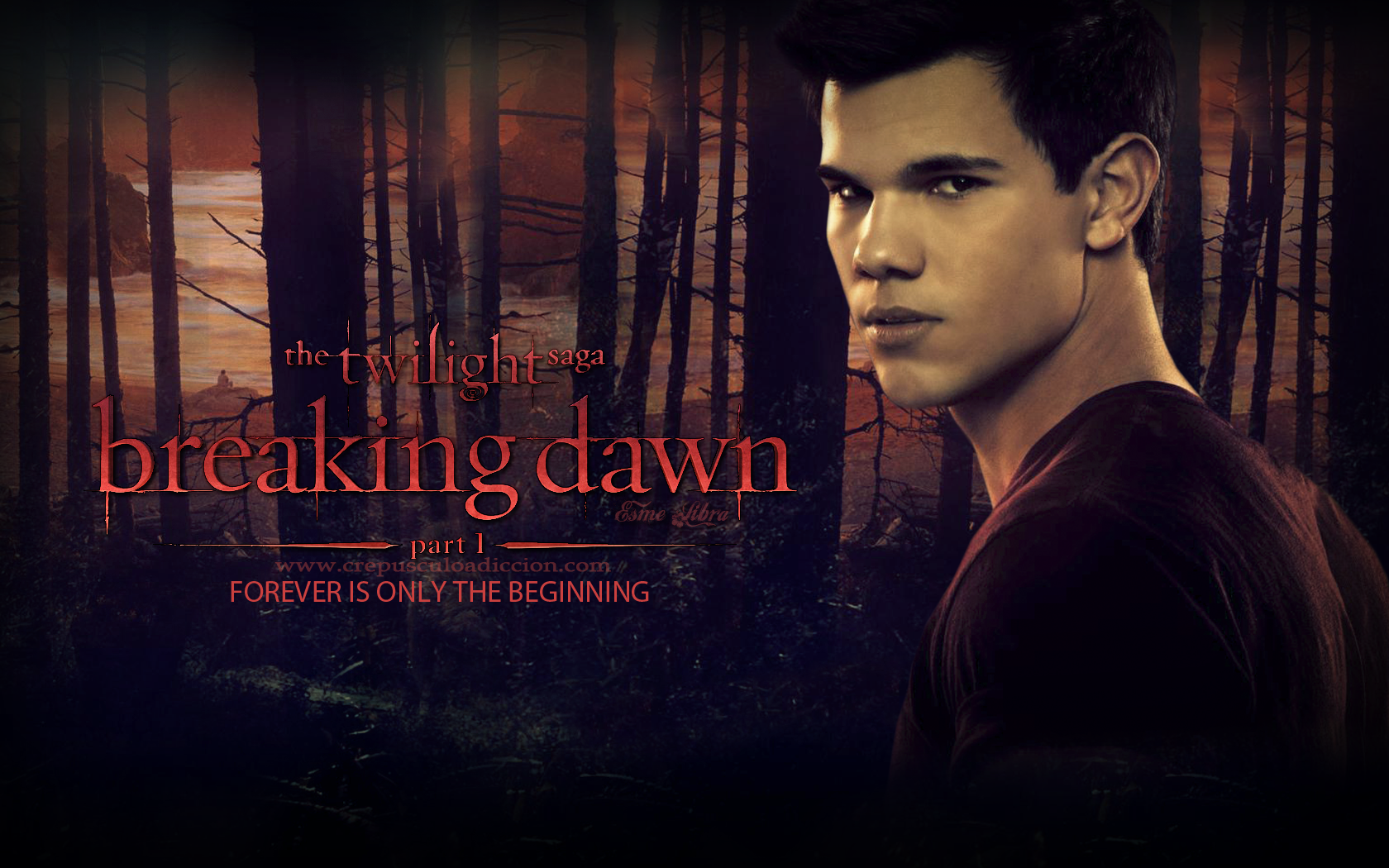 Breaking Dawn Wallpaper - Twilight Series Wallpaper (25921948 ...