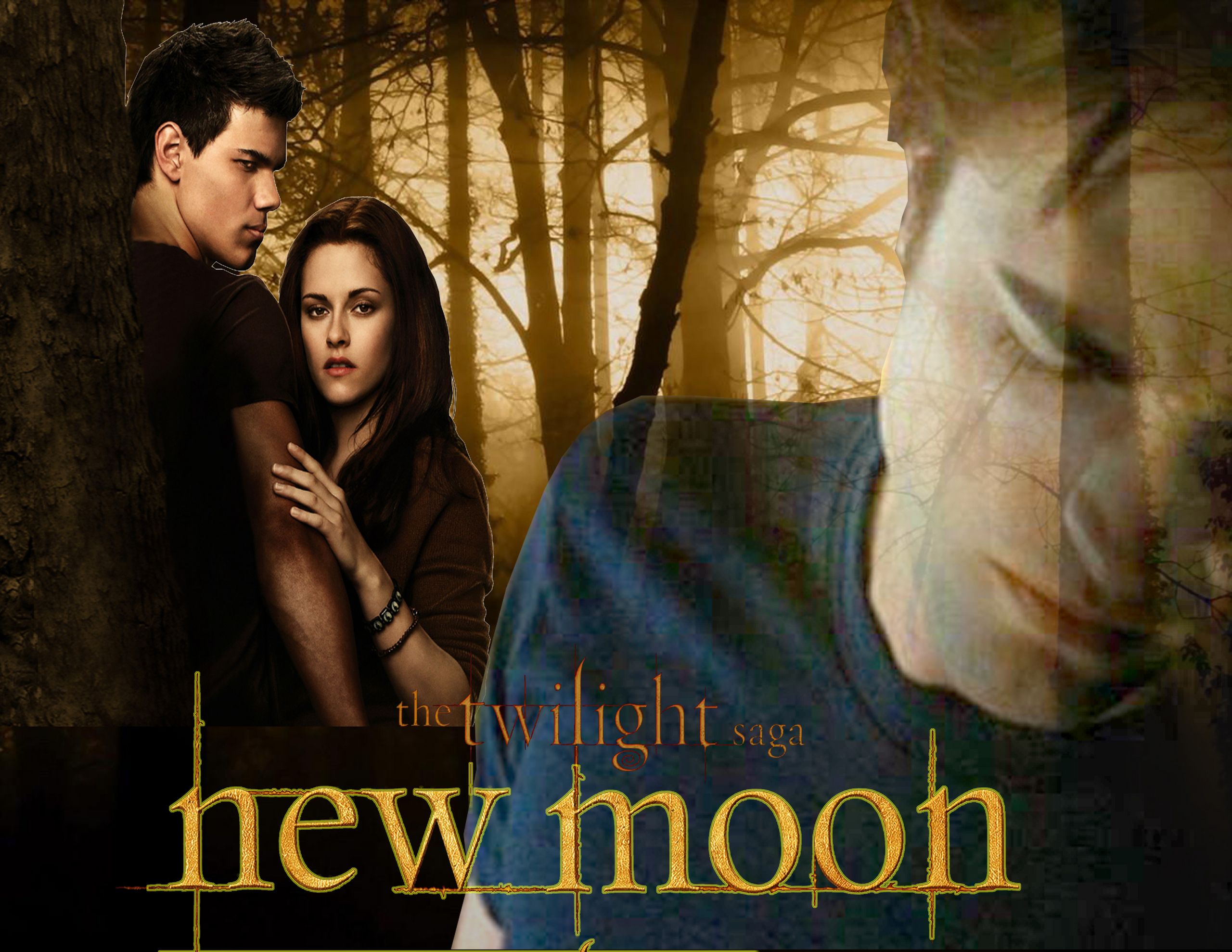 The twilight saga new moon Wallpaper