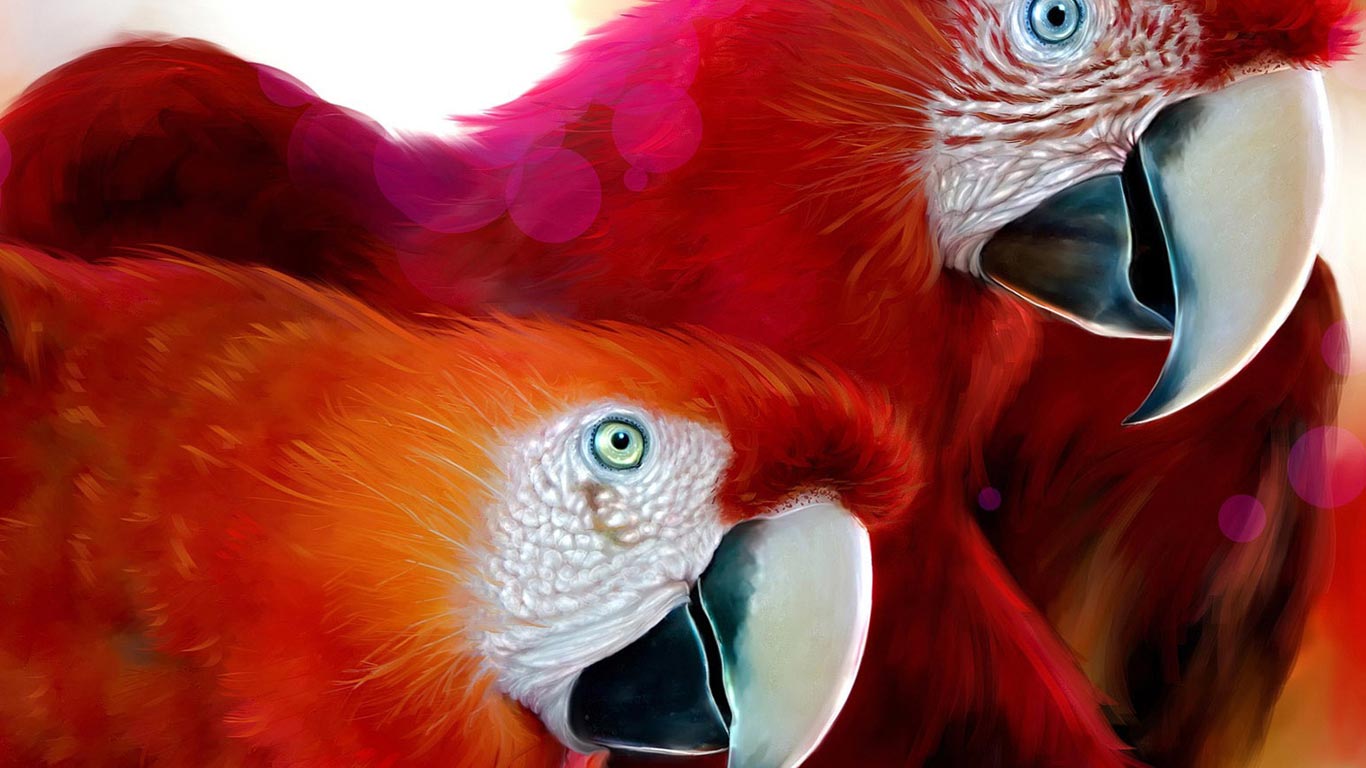 Desktop Wallpaper · Gallery · HD Notebook · African parrots ...