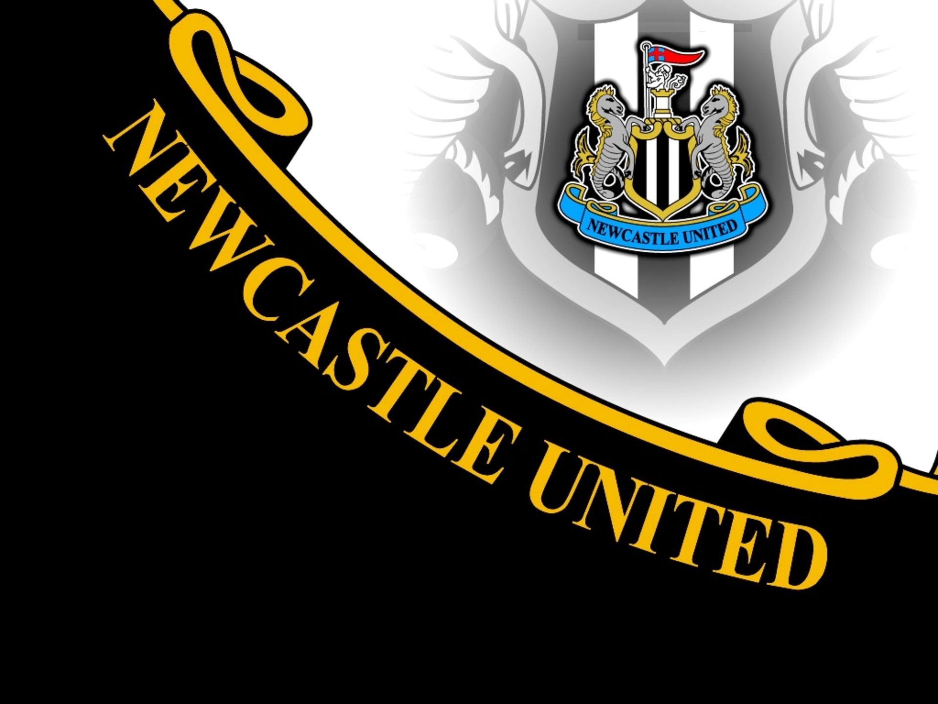 Newcastle United Wallpaper HD | Full HD Pictures