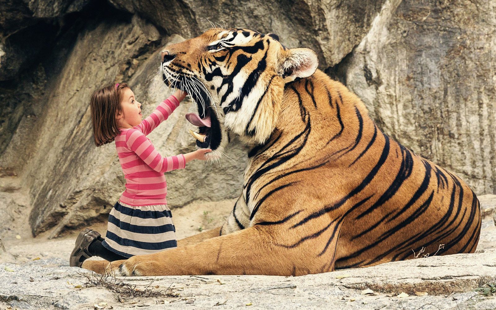 Funny Big Tiger Dental Check-up by Little Girl HD Animals ...