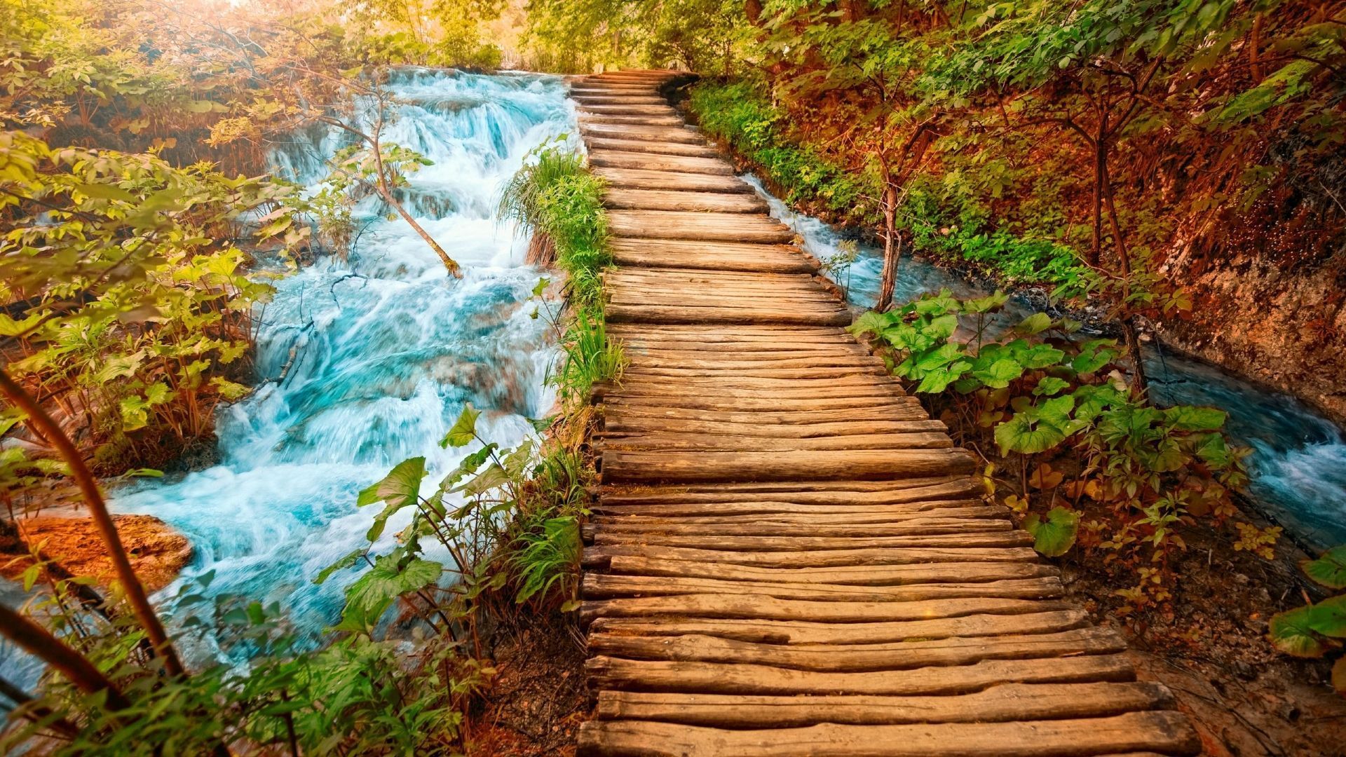 Wooden Path HD Wallpapers, Wooden Path Images, New Wallpapers