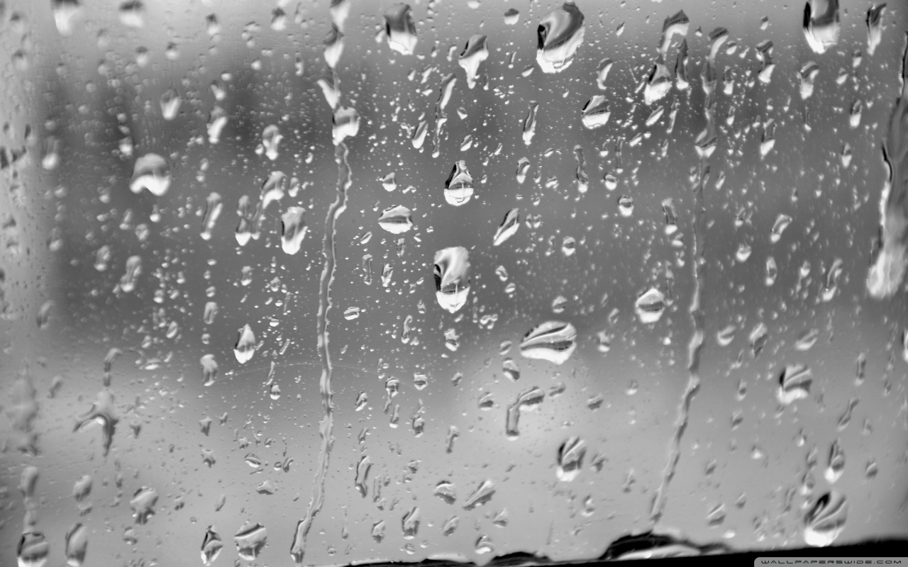 Rain Drops HD desktop wallpaper High Definition Fullscreen