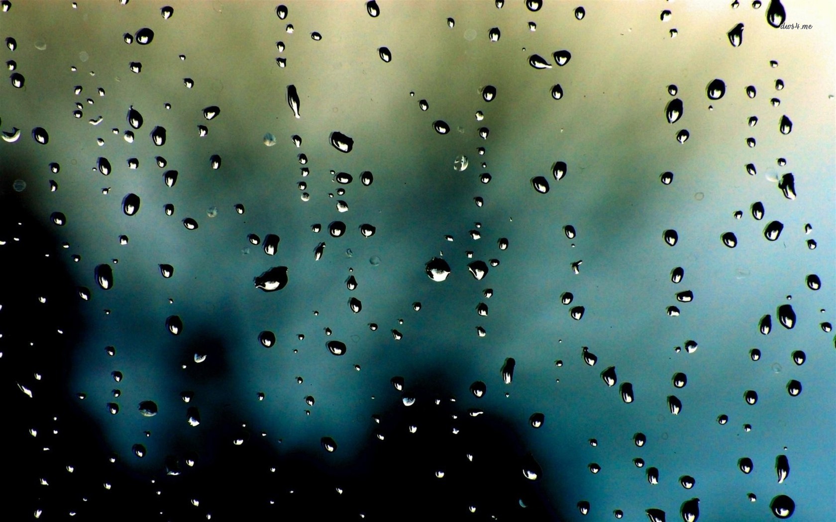 Rain Drops Wallpaper Widescreen HD 7953 - HD Wallpapers Site