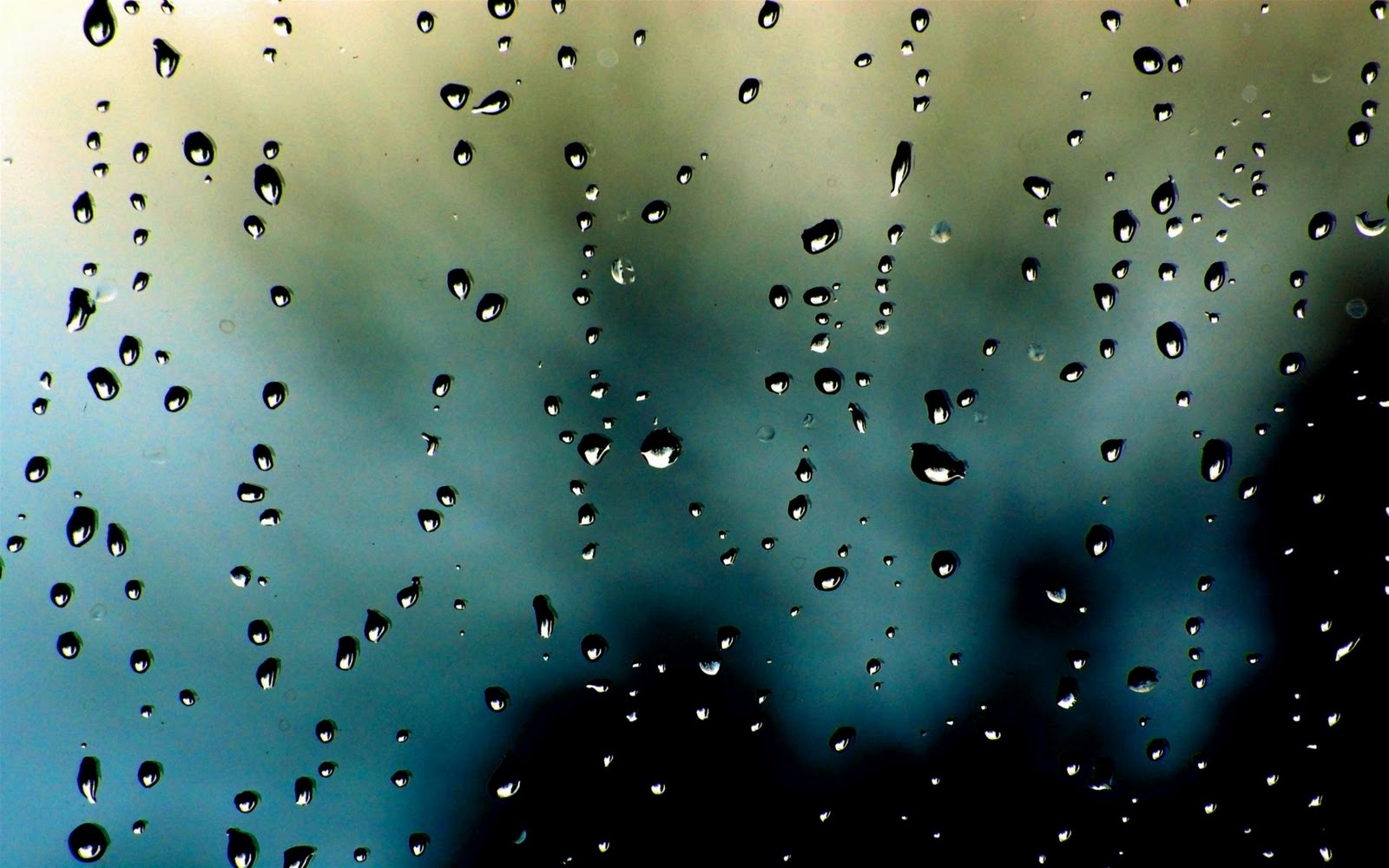 Rain Drops Wallpapers - wallpaper