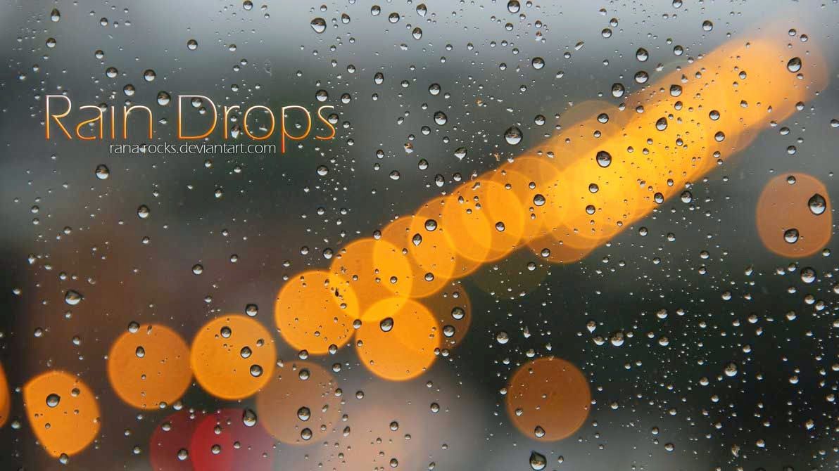 Top 28 Raindrops HD Wallpapers for Your Desktop | Tinydesignr