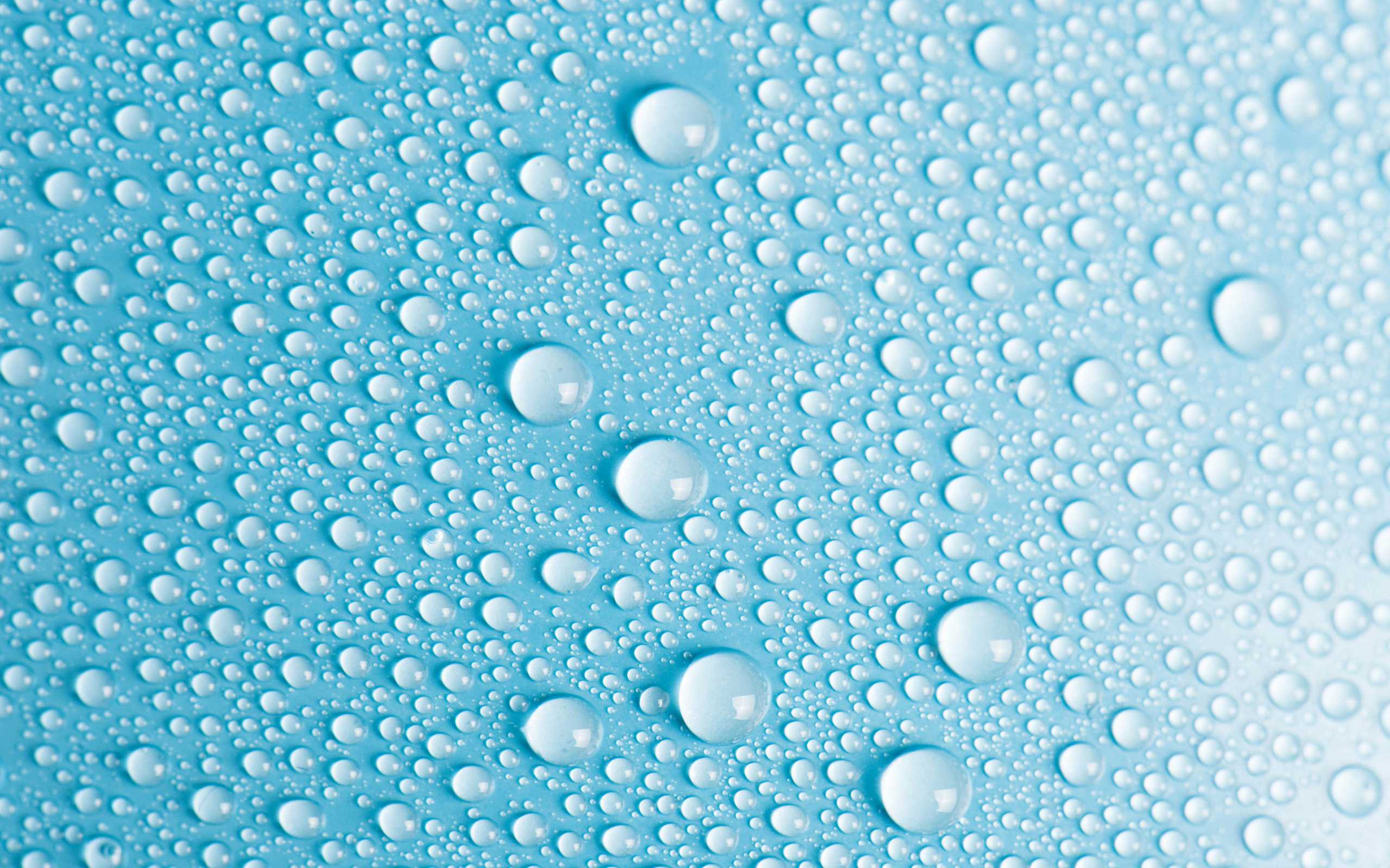 Water Drop Wallpaper & Dew Drops HD Wallpapers Desktop
