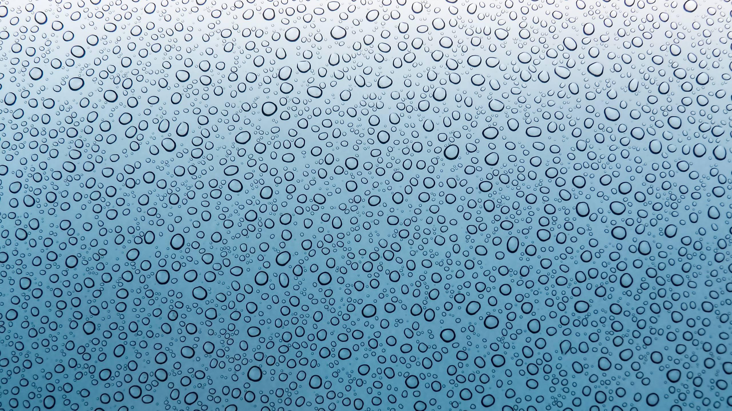 Rain drops - (#159858) - High Quality and Resolution Wallpapers on ...