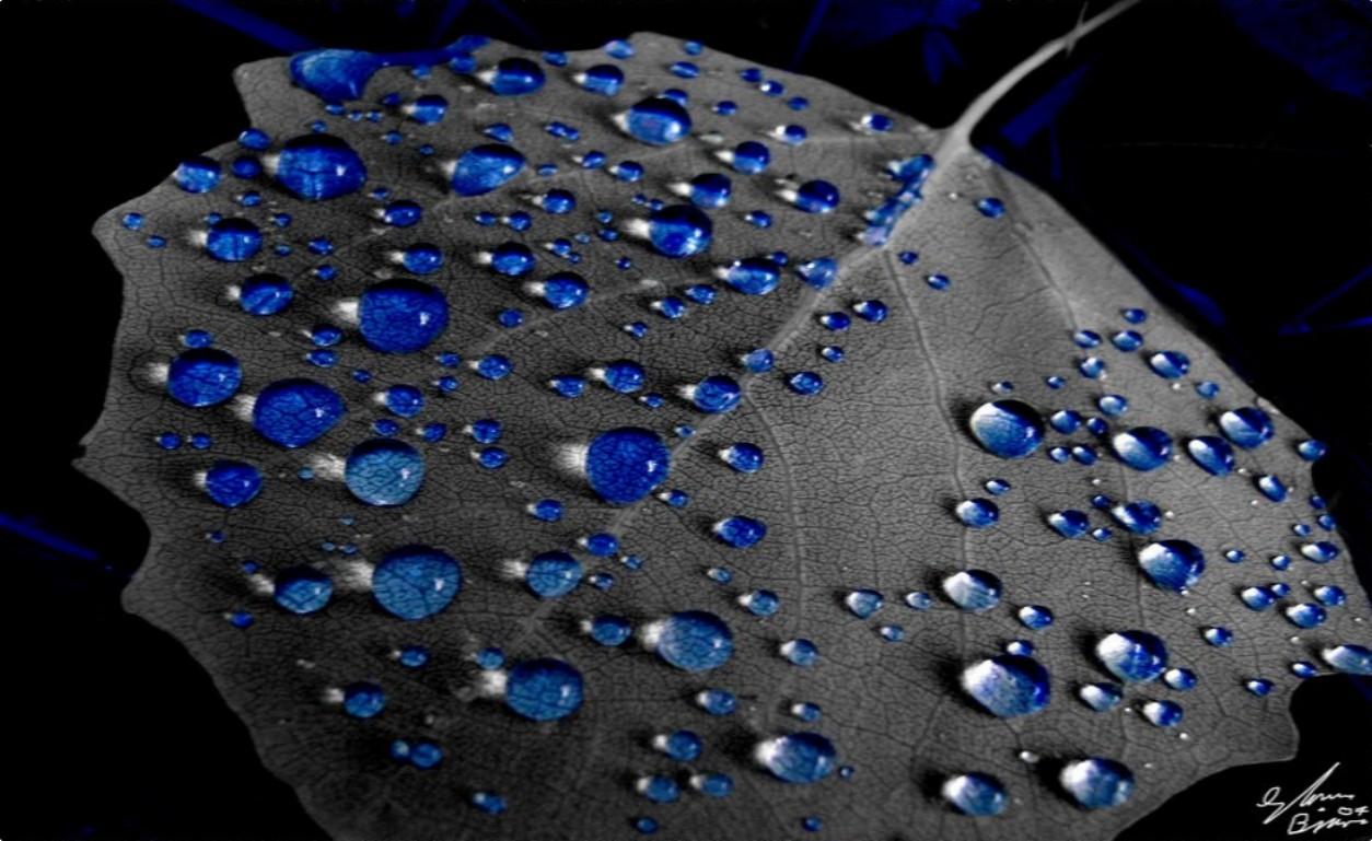 BLUE RAIN DROPS WALLPAPER - (#33370) - HD Wallpapers ...