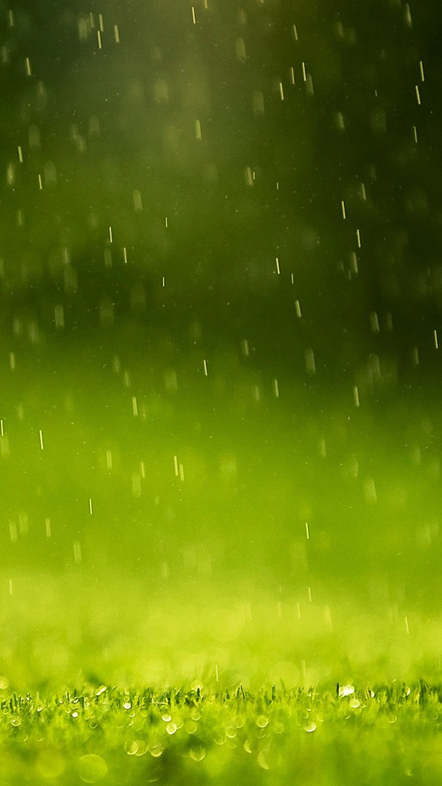 Green rain drops Wallpapers for Galaxy S6.jpg