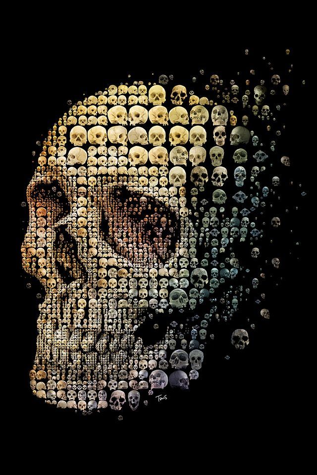 FREEIOS7 skull evolution - parallax HD iPhone iPad wallpaper