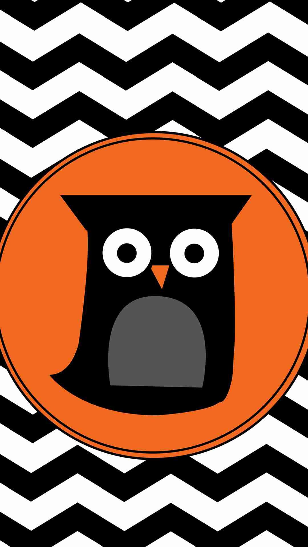 Cartoon Owl and Chevron Pattern iPhone 6 Plus Wallpaper ...
