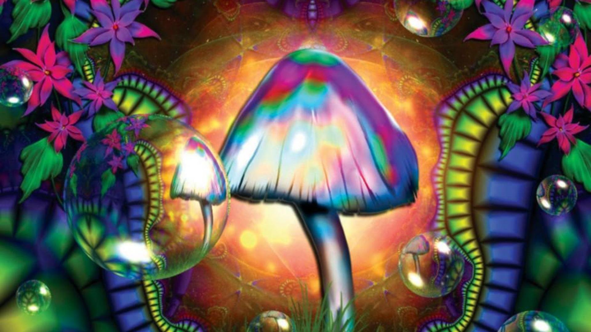 Trippy Mushroom Wallpaper For Iphone - Uncalke.com