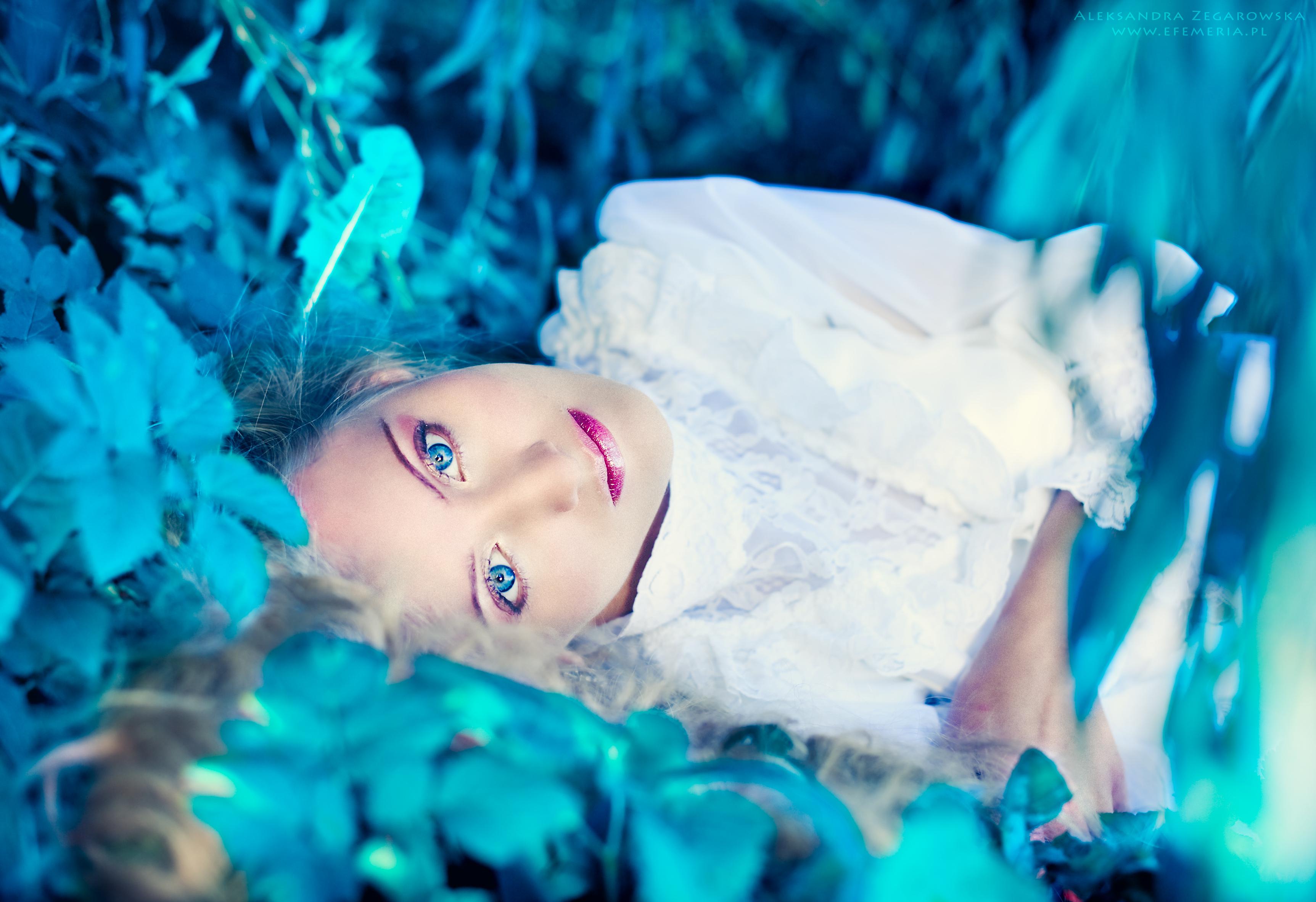 Blue fairy for sweet inspi - - High Quality and other