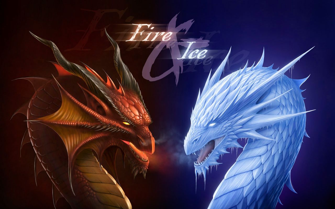 1597 Dragon HD Wallpapers | Backgrounds - Wallpaper Abyss