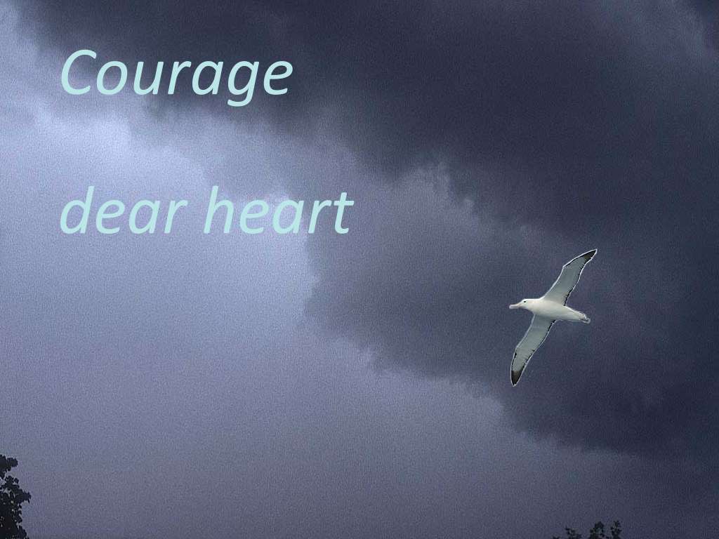 NarniaWeb Community Forums • View topic - Courage dear heart wallpaper