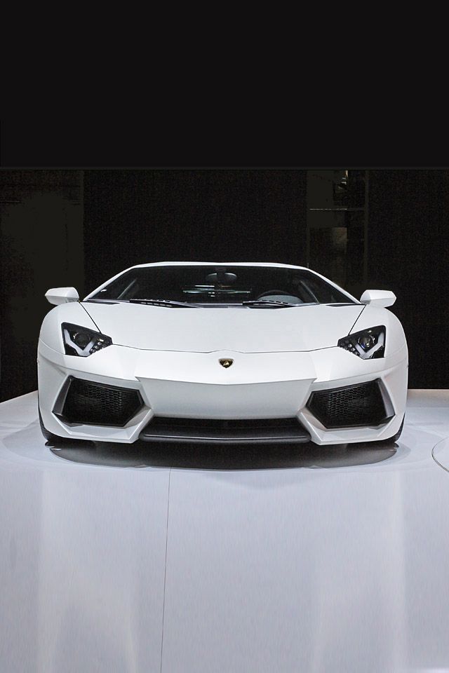 White Lamborghini Wallpaper Hd