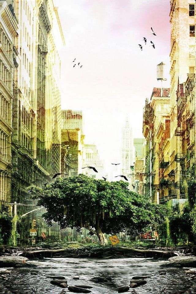 Fantasy Tree City Iphone 4s Wallpapers Free 640x960 Hd Iphone4