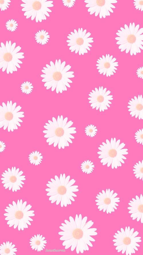 Pink Daisy iPhone wallpaper | Scrap_бумага_фоны_текстуры ...