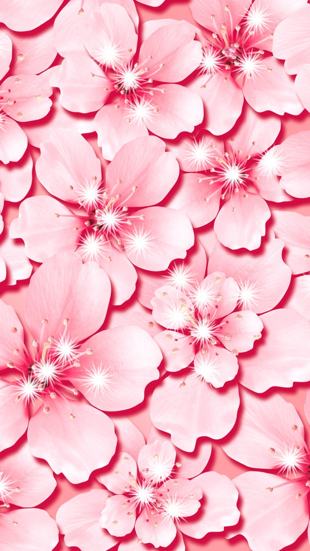Pink flower iphone 5s wallpaper_iPhone Wallpapers, iPhone Themes ...