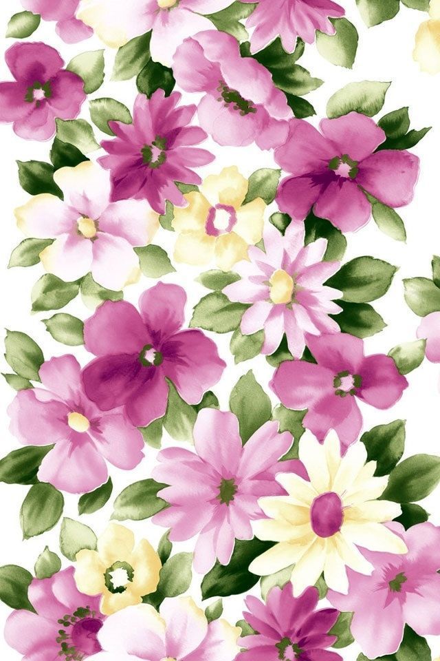 Flower Mobile Phone Wallpapers HD Phone Wallpapers