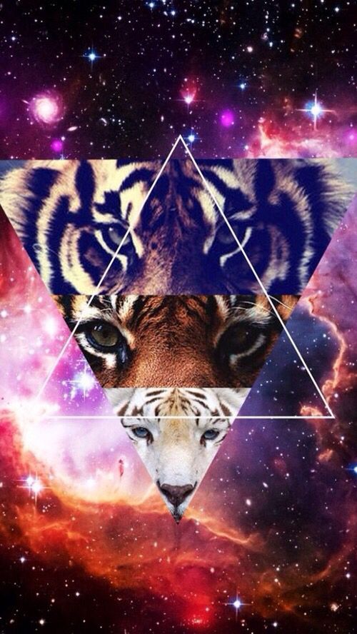 Galaxy, tiger, triangle, wallpaper - image by LADY.D