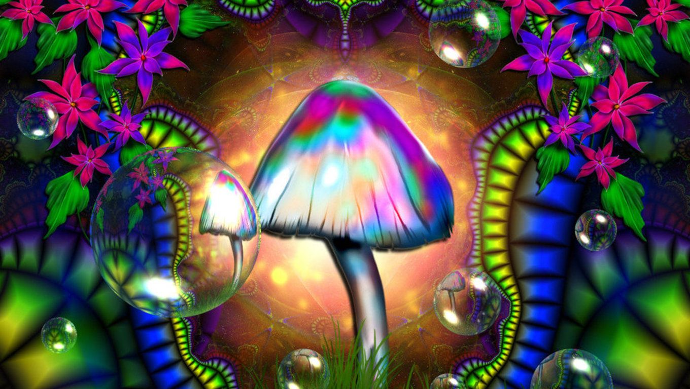 Magic Mushrooms ~ Awakening Our Truth