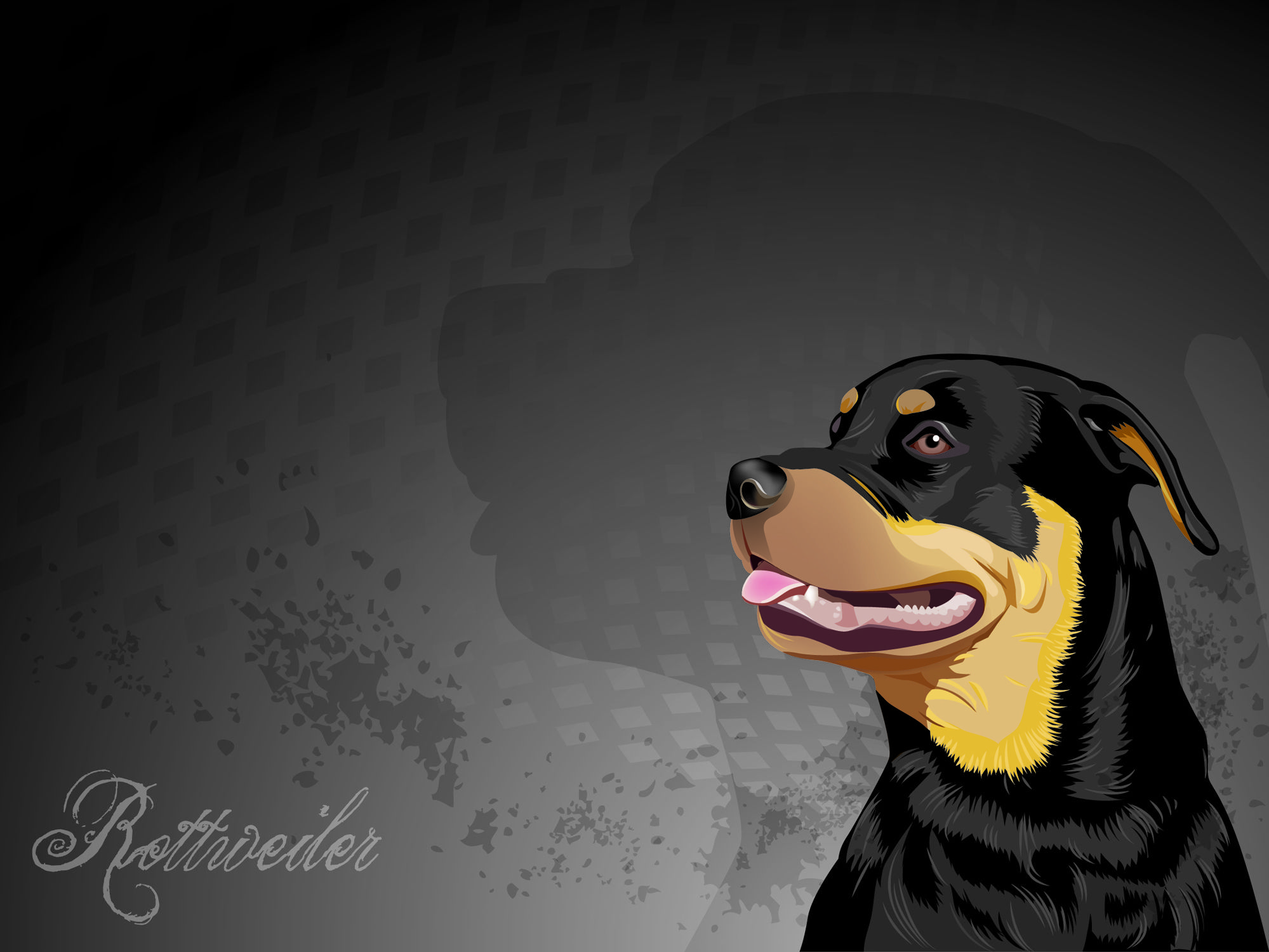 Rottweiler - photo wallpapers, pictures with rottweilers / Страница 4